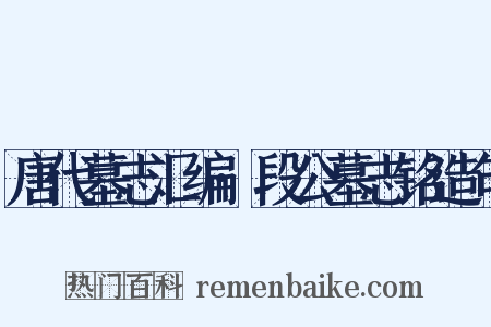 唐代墓志汇编·段公墓志铭造句是什么意思的图片